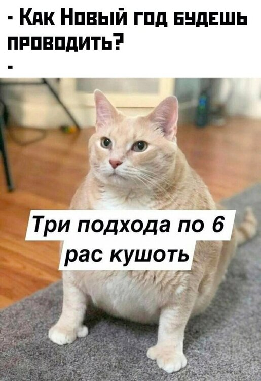 FxrfgHlZHSC7mrVtehB_Btpd3BgdwzHqza1axPqIS5wmiIHrBbzS8TwIQjVY5keOsqlKPwt4jlS8jcRc370GE0oL.jpg