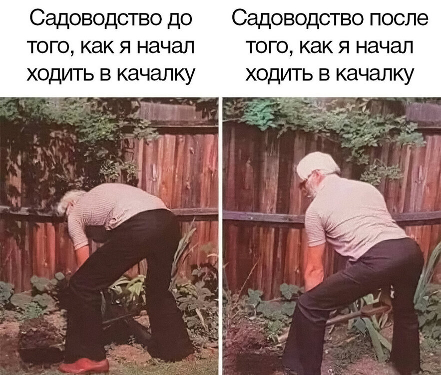 gym-memes-sport-07.jpg